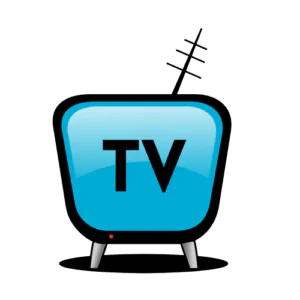 1 YEAR IPTV